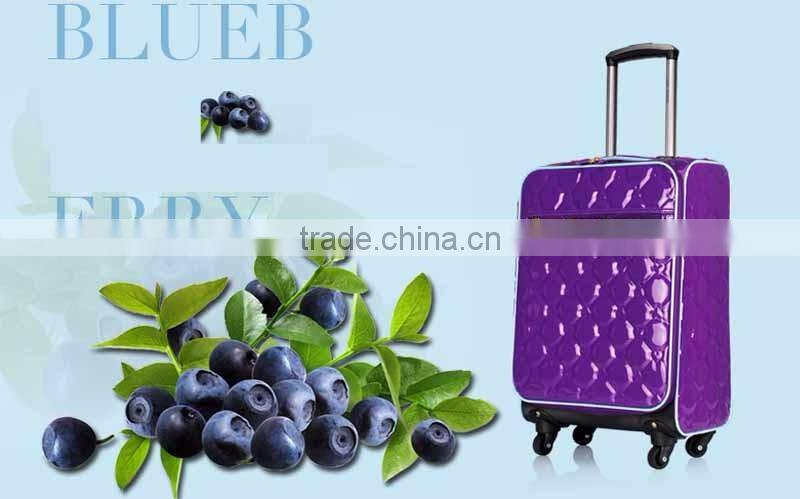 PVC Luggage Light Trolley Case Beautiful Suitcase Luggage