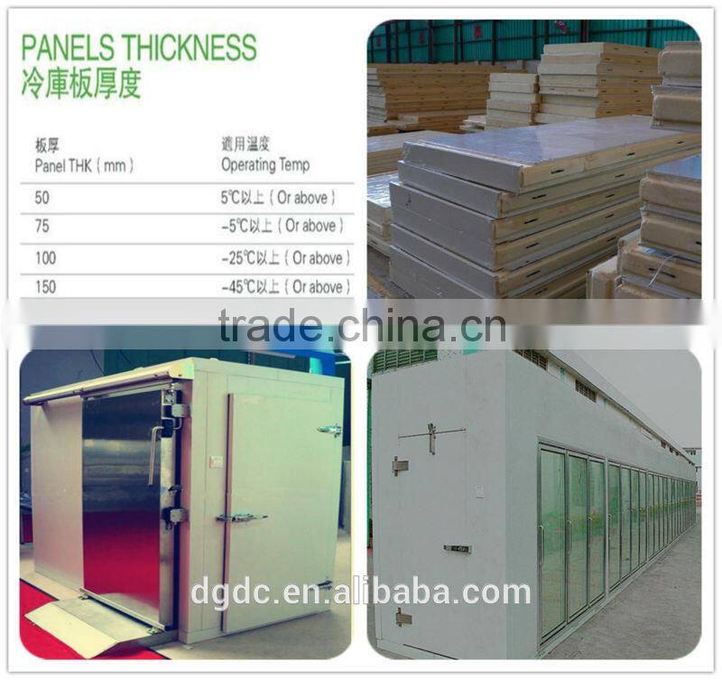 PU Insulation Freezer Meat Storage Room