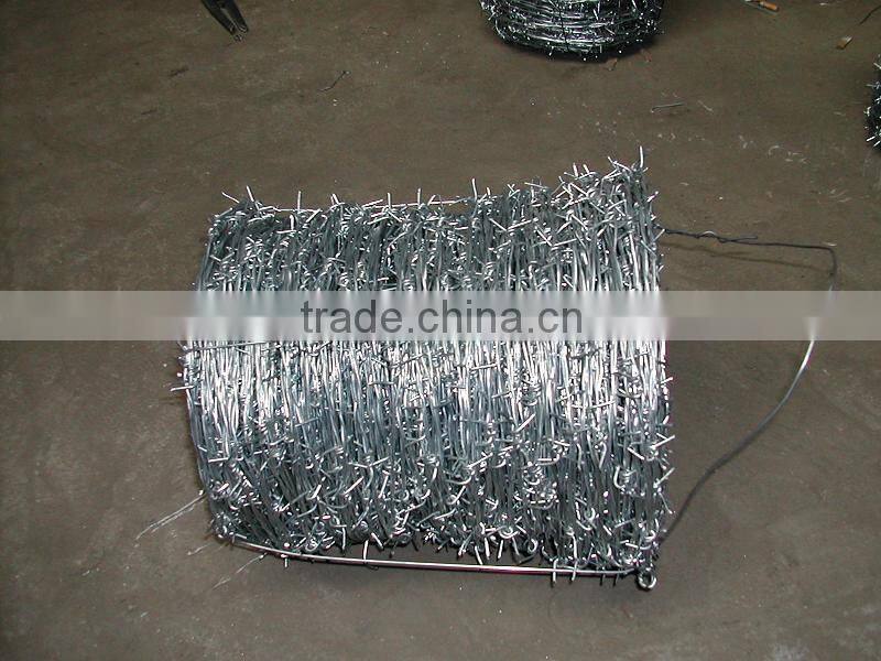 Double Stranded and Single Stranded Galvanized Barbed Wire