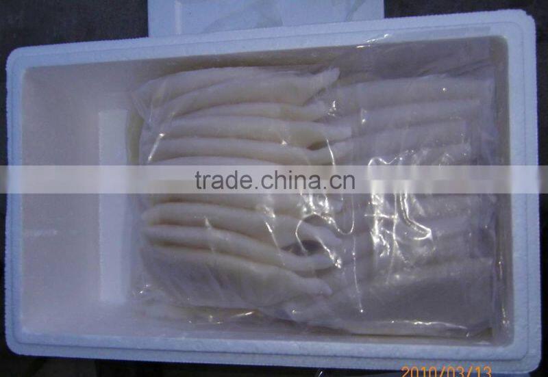 Frozen Squid