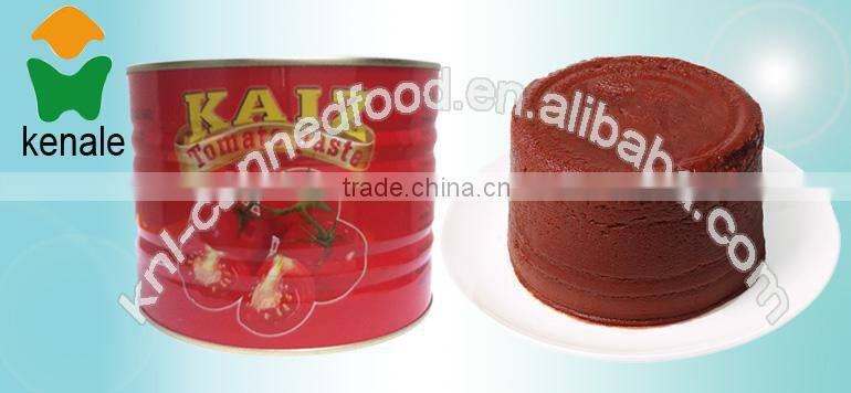 HOT SELLER OF WHOLESALE FACTORY OF TOMATO PASTE 2200gX6tins