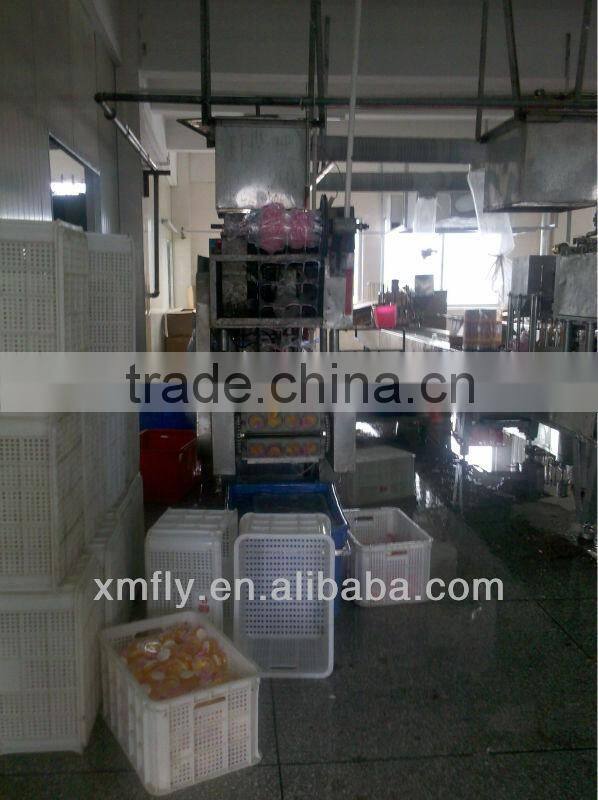 fruit juice flavour Mini fruit jelly