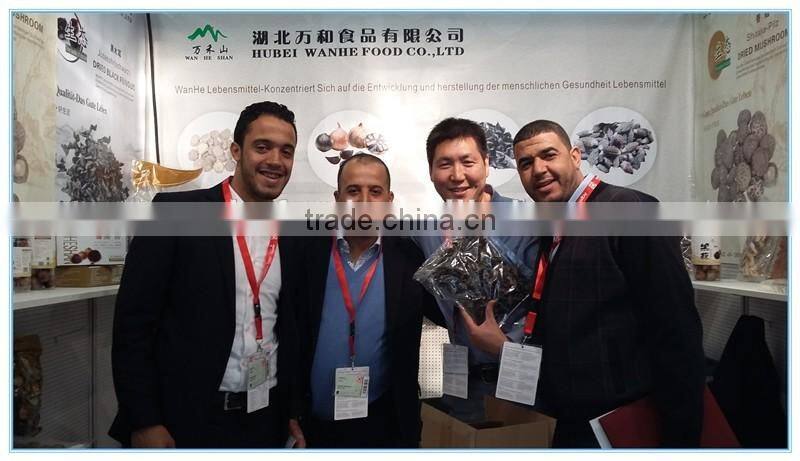 Chinese Snow Fungus Mushroom