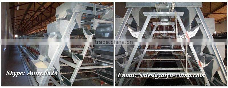 TaiYu Factory chiken house