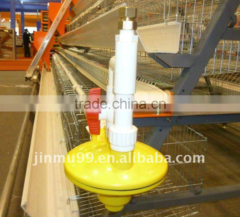 layer chicken poultry house