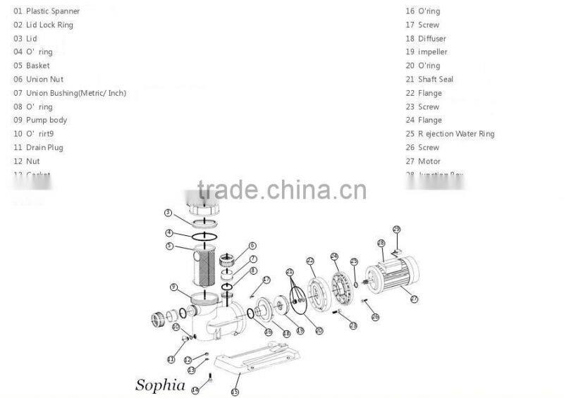 Brushless DC Solar Water Pump for Swimming Pool