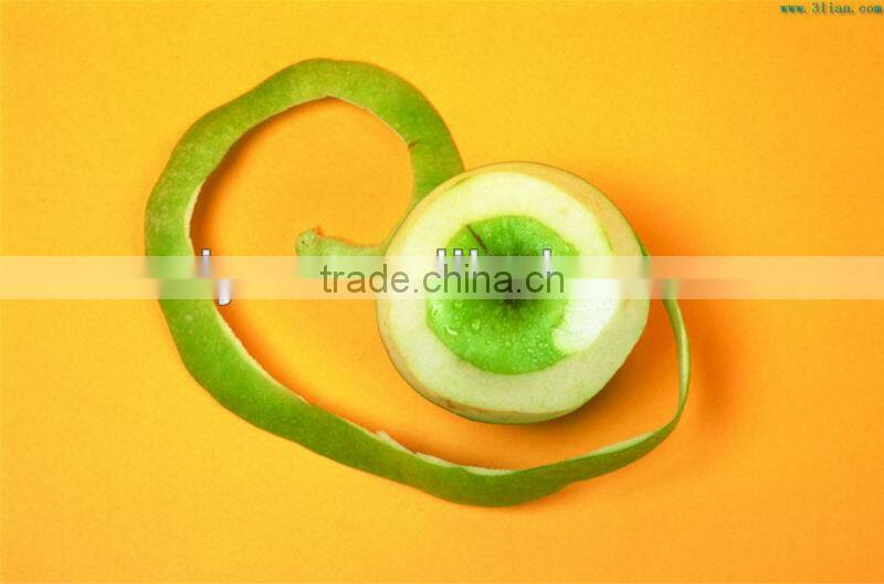hot sale hot sale fruit peeler/ apple peeler