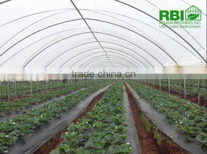 Tunnel-600 agricultural economical greenhouse