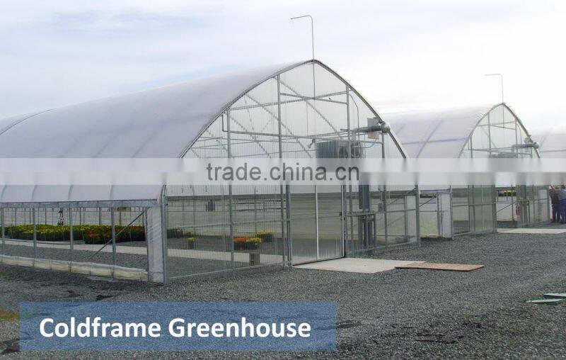 RoughBrothers Coldframe Series Galvanized Steel Frame Vegetable Tunnel Plastic Greenhouse