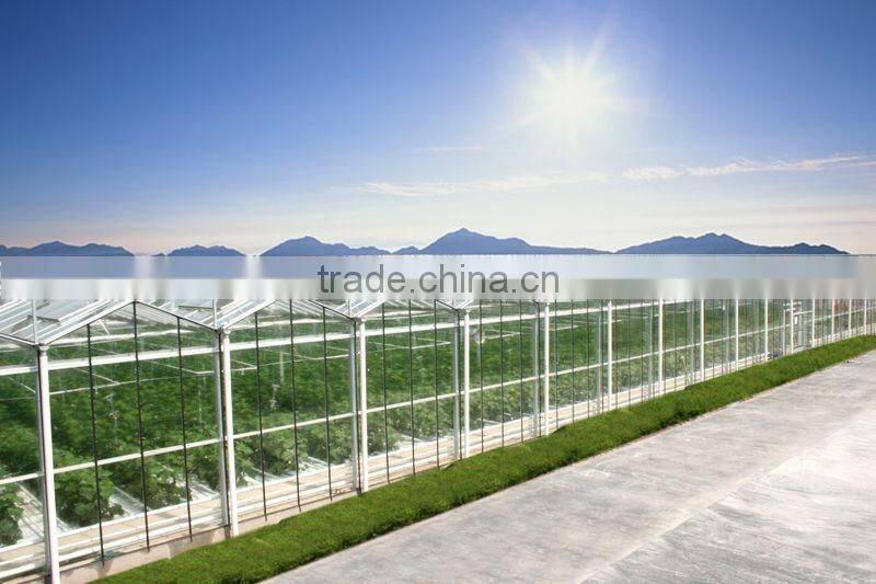 top high quality Glass greenhouse for sale