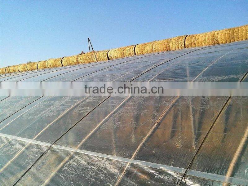 new discount !!LDPE agricultural film/LDPE agricultural film for greenhouse film/greenhouse film