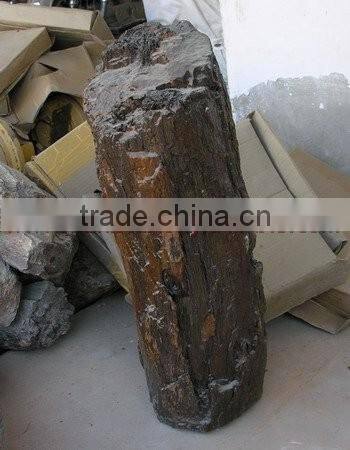 NATURAL STONE PETRIFIED WOOD TILES SLABS