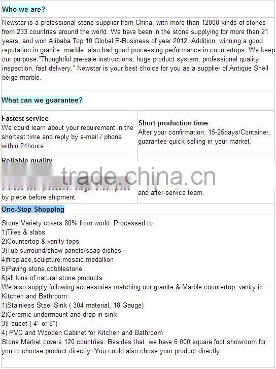 China Black Granite Countertop With Basin Black Granite Countertops