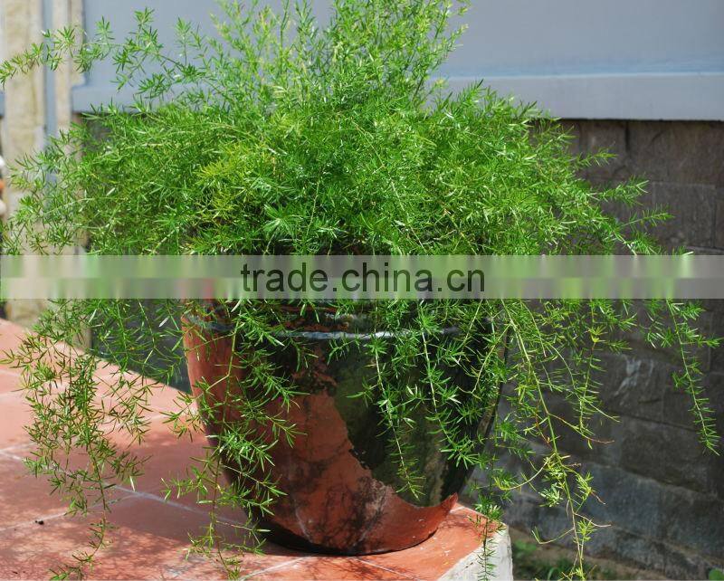 Vietnam Fiber Concrete Lite flower pots