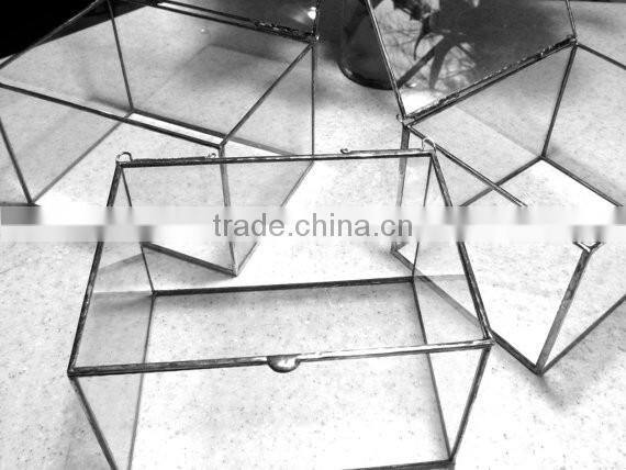 Hinged Top Jewelry Collections 3" to 4" Deep Smaller Size Clear Glass terrarium