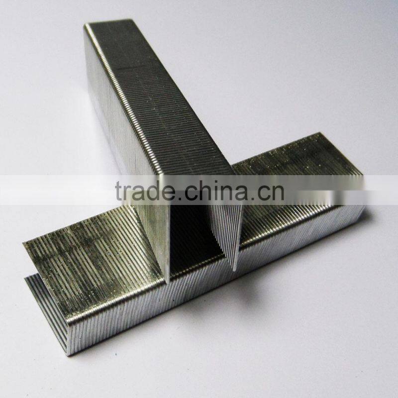 Quantity office galvanized heavy duty staples 23/20