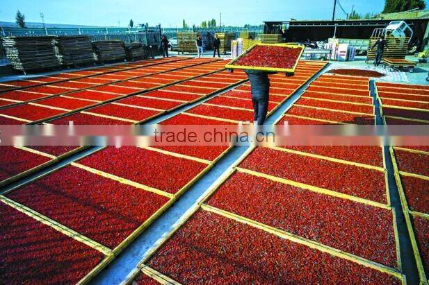 2016 new natural Goji berry/ wolf berry/gouqi