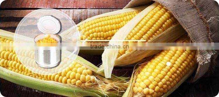 dried full corn kernels in jar rich in protein