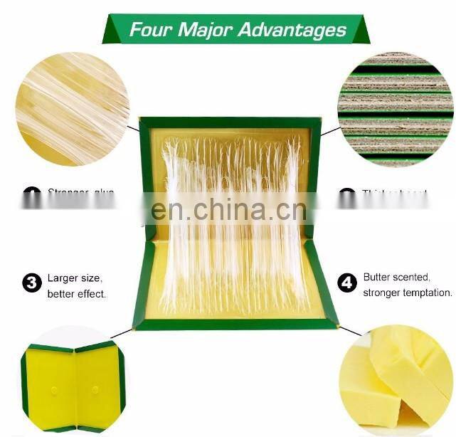 free samples rat mouse glue trap mouse trap glue board