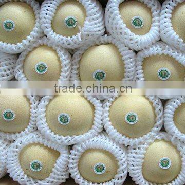 PE Foam Net Extrusion Line