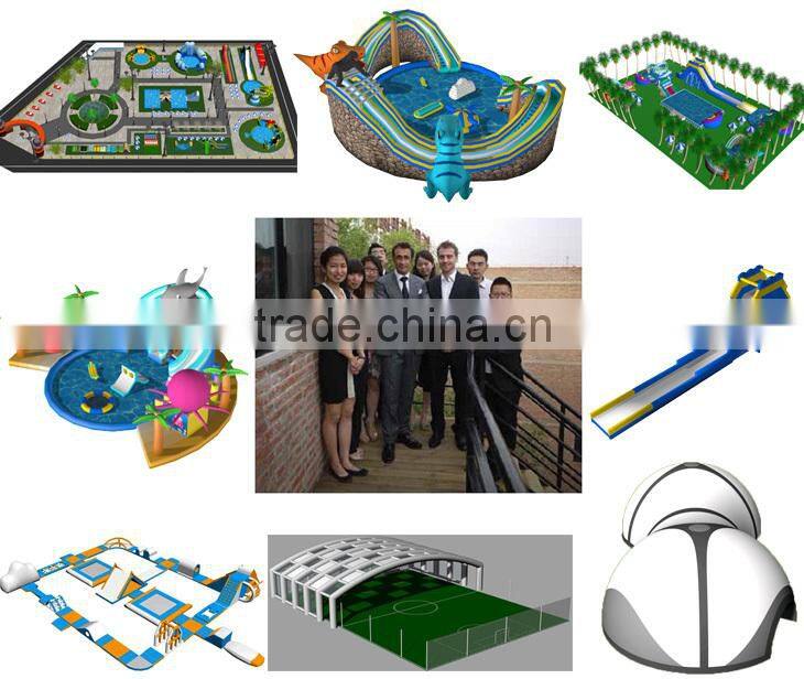 New Point inflatable water slides for summer,fashionable garden play inflatable slide,inflatable water slidekids