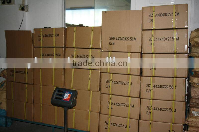 1 wire read only ibutton key TM1990