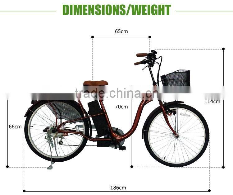 36V Adult Electric Bike For Sale