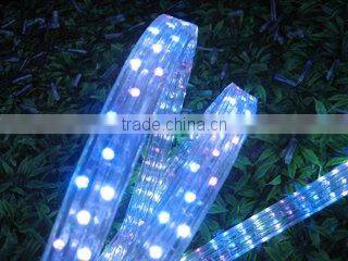 12V/24V/ 110/230v Color Changing LED Flat Rope Lights