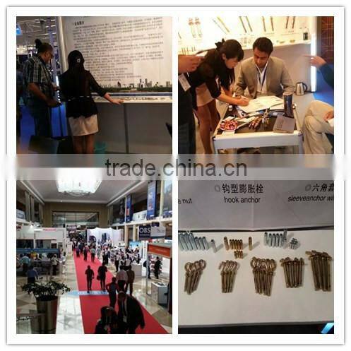 expansion through bolt from china hebei manufacturer