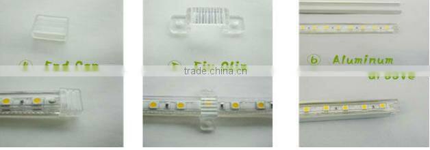 220v 110v RGB Led Strip Light