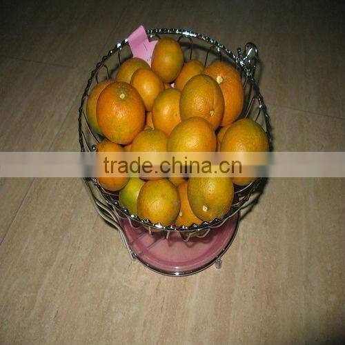 Stainless steel fruit basket(factory,low price)