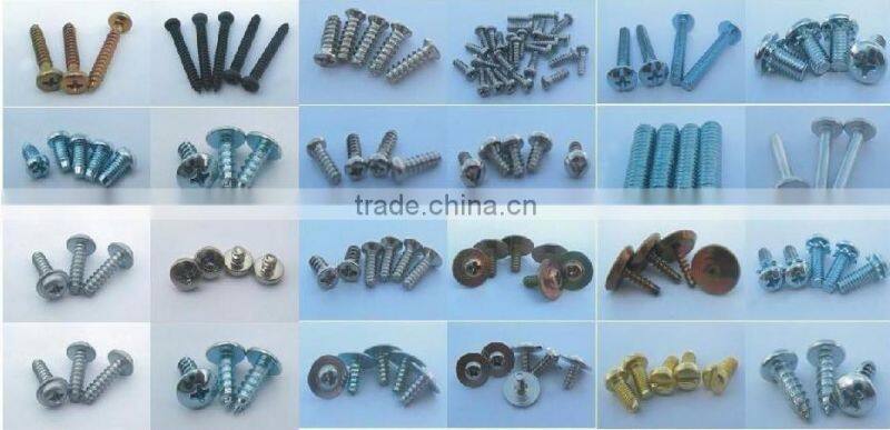 Non-standard Stainless Steel T Shape Screws