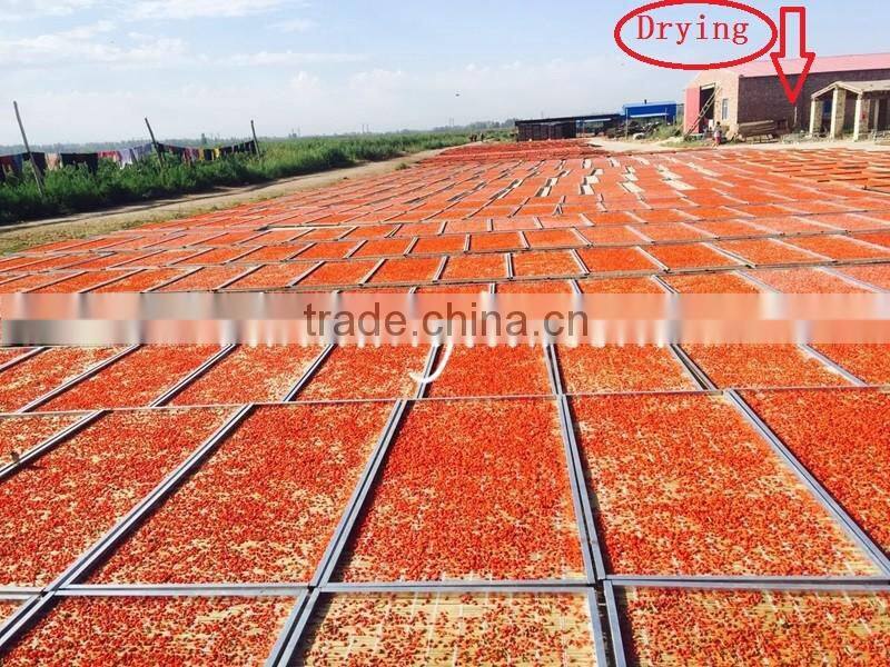 Dried Goji Berry Organic Goji Berries