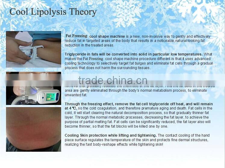 Portable Weight loss equipment slimming cryo fat freezing cryolipolysis machine for home use with 5 treatment handles