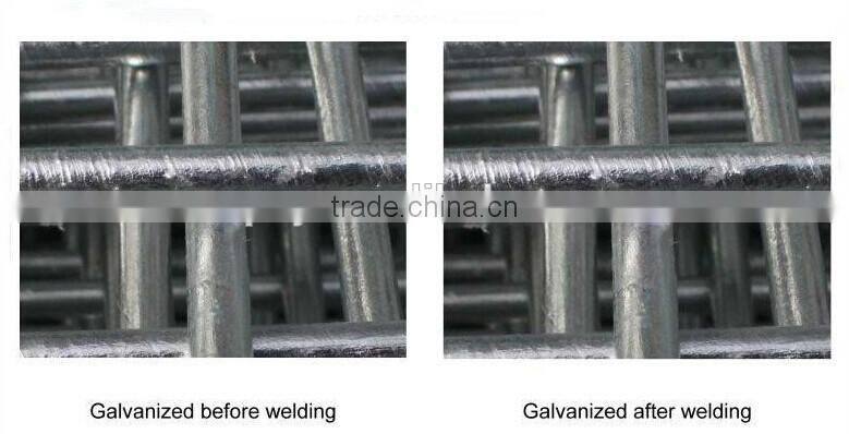 2X2 stainless steel welded wire mesh