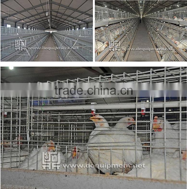 TA NO.1 Factory 3 tiers 120 birds h type broiler chicken cage
