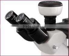 BDS 300 Series Inverted Microscope Outfits