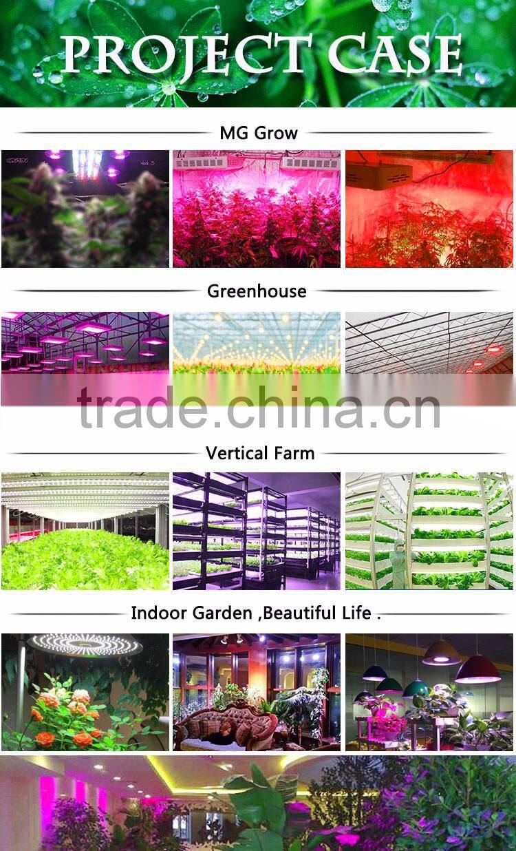 WIFI control COB 5W chips led grow light for greenhouse