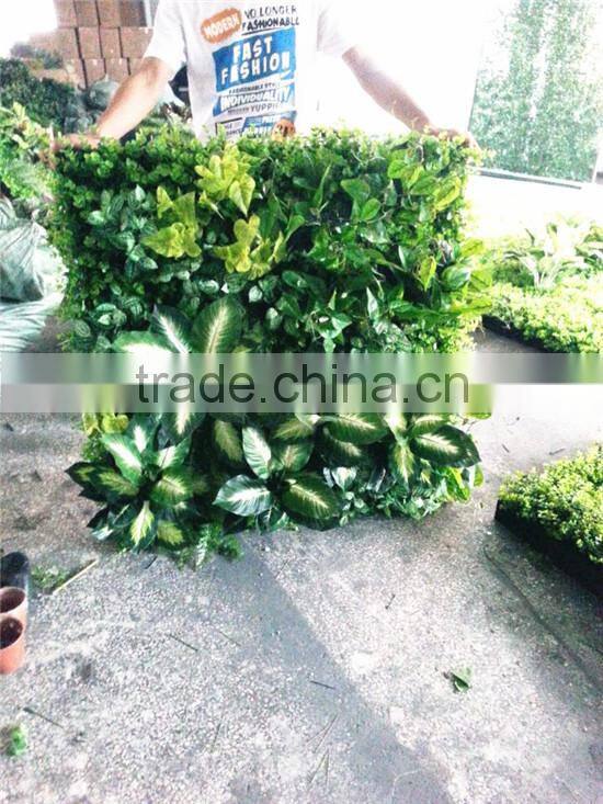 2017 factory price hot sale plastic plant wall artificial wall sale