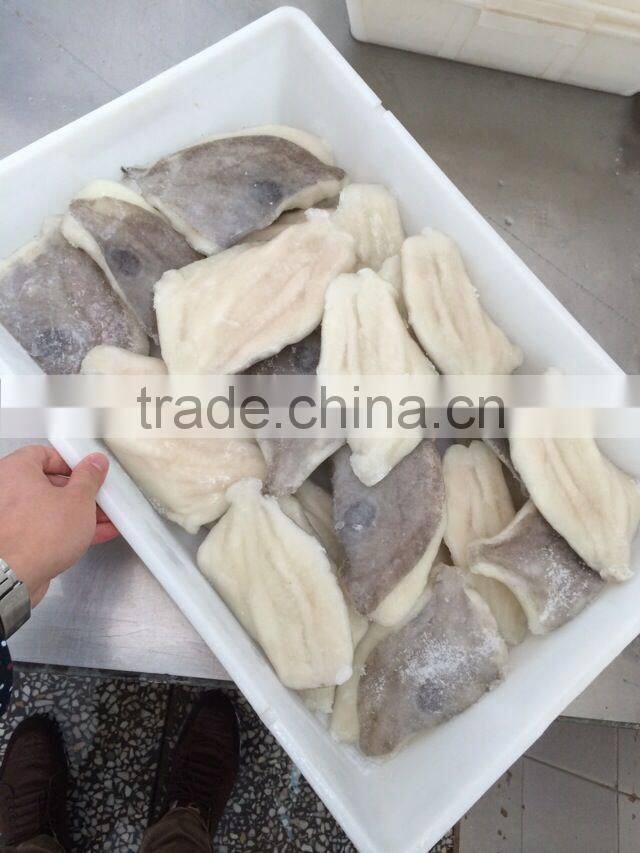 Frozen John Dory fillets 60-100g/100-150g/pc factory direct selling from Zhejiang of China