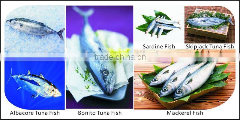 Hot Sale Bonito Loin For Dinner Party lot number#kml4835