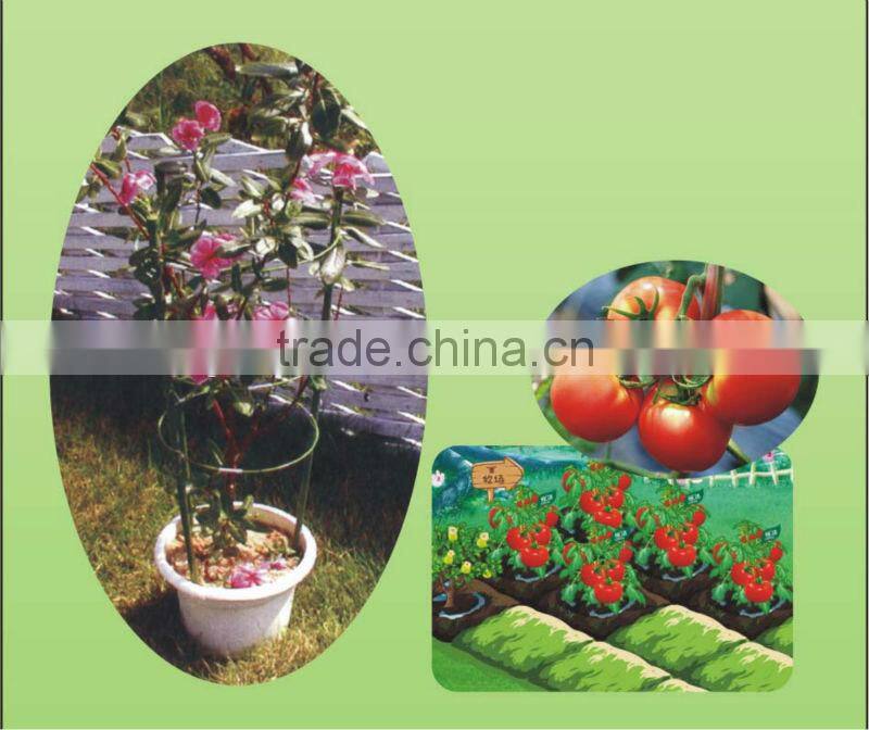 spiral tomato satkes on hot sale china supplier on sale