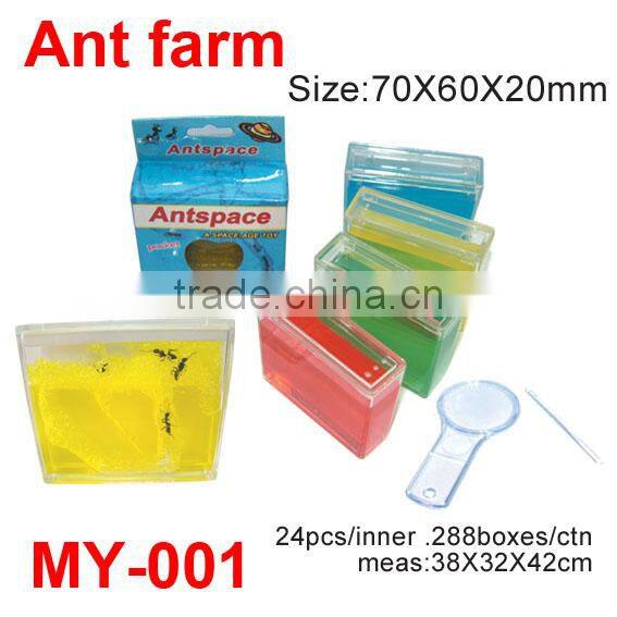 Colorful Plastic Ant Farm Toys