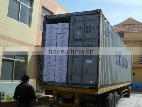 garden cart dump cart TC2145 Poly garden dump cart factory