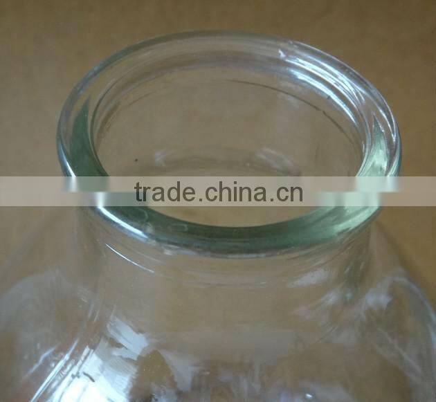 624ml Tissue culture vessels jar