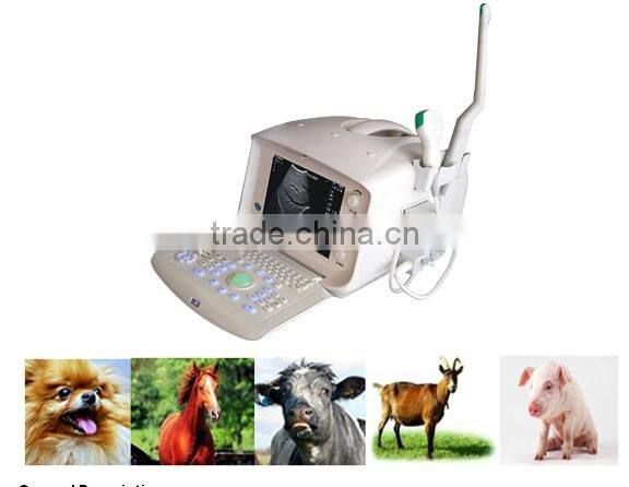 For Vet Use/Veterinary /Animals Digital Ultrasound Scanner AJ-600VET/Convex Array Probe/Linear Probe/ Intra-cavity Probe