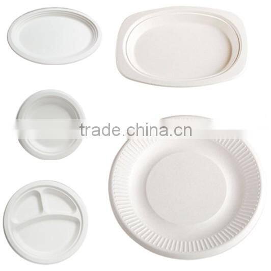 Biodegradable sugarcane fiber 425ml cups with lids for coffee or tea