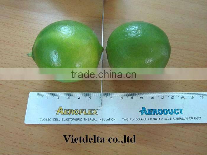 Fresh Lemon & Lime New Crop