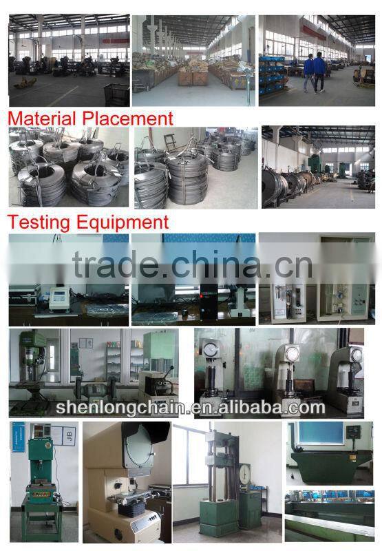 Hollow pin chain double pitch 216ALHP/2082HP