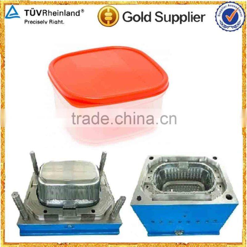 China professional manufacturers Picnic boxs mould/plastic injection mold